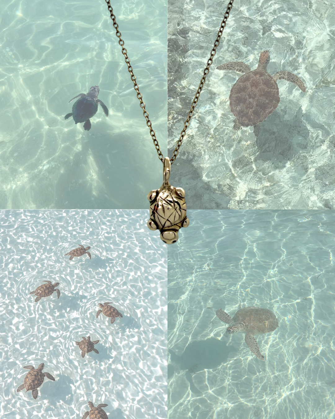 Island turtle charm necklace
